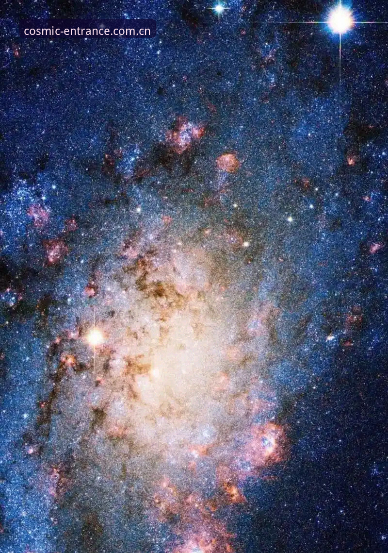 星空入口2024版本PY85先锋版体验评测：从登录到数据查询的完整记录